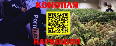 СК Ливны